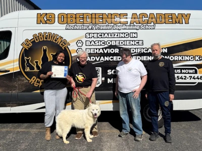 K9 Obedience Academy graduation, dog training Rochester NY