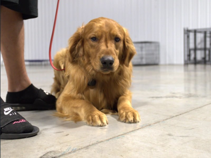 Board and train Rochester NY