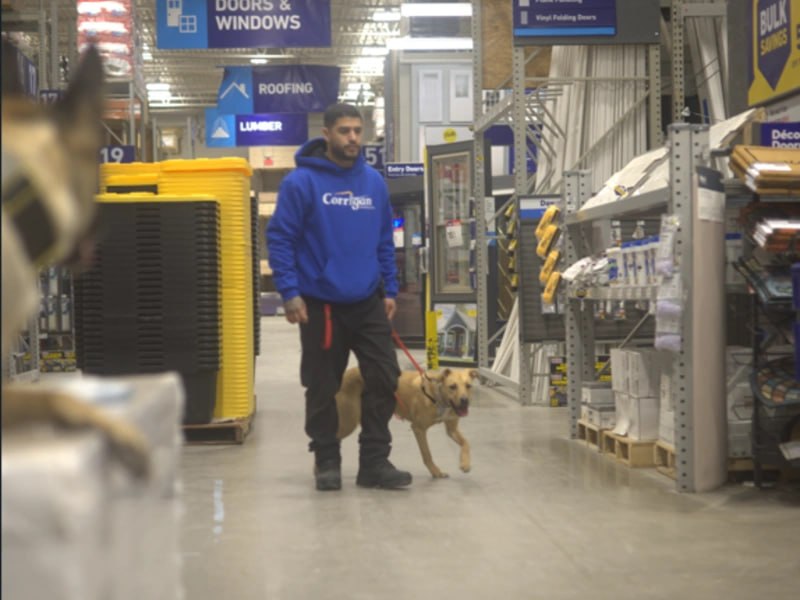 Reactive dog training Rochester NY